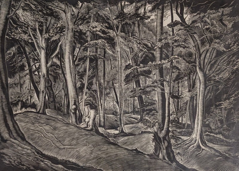 Beachwood Near Broadway, Worcestershire; Rawlinson, William Thomas (1912-1993); 1966; WR.11