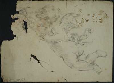 Study of a Cherub ; BIKGM.6354