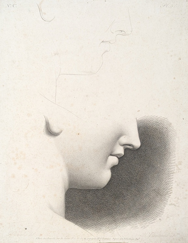 Chap.5. Pl.3. Study of The Lower Area of a Face; Reverdin, François-Gédéon (1772-1828); BIKGM.1815an