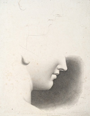 Chap.5. Pl.3. Study of The Lower Area of a Face; Reverdin, François-Gédéon (1772-1828); BIKGM.1815an