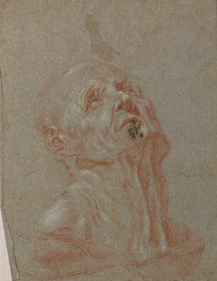 Head of an Old Man; BIKGM.6275