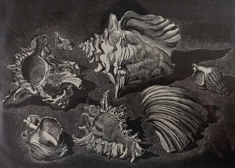 Shell Forms; Rawlinson, William Thomas (1912-1993); 1967; WR.47