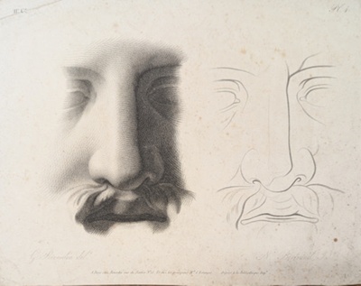 Chap. 2. Pl.4. Studies of Eyes and Noses; Reverdin, François-Gédéon (1772-1828); BIKGM.1815af
