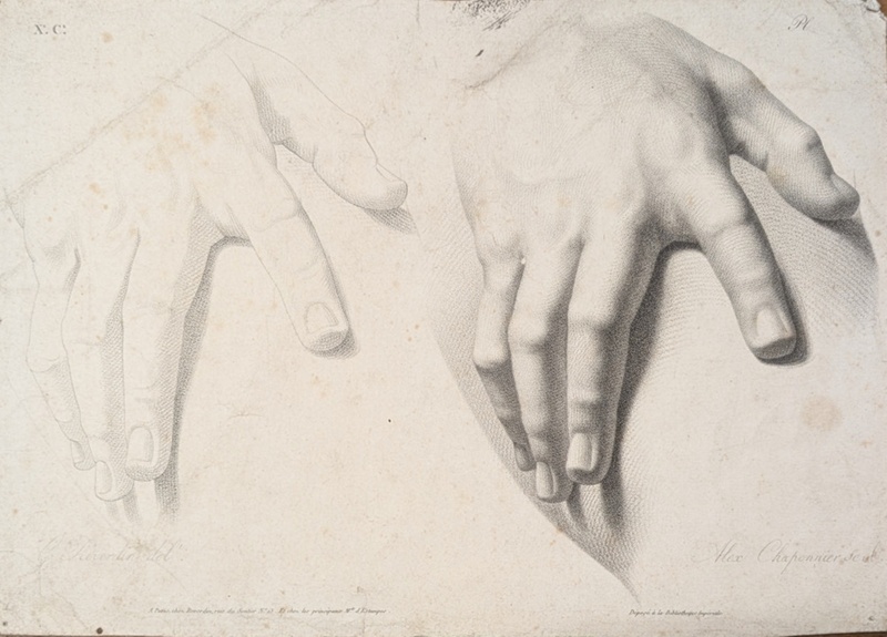 Chap. 10. Studies of a Hand; Reverdin, François-Gédéon (1772-1828); BIKGM.1815aw