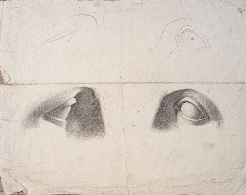 Chap. 1 Pl.1. Studies of Eyes; Bertrand, Noël François (1784-1852); BIKGM.1815ab