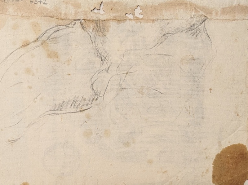 Rough Sketch of Lower Male Torso; BIKGM.6372