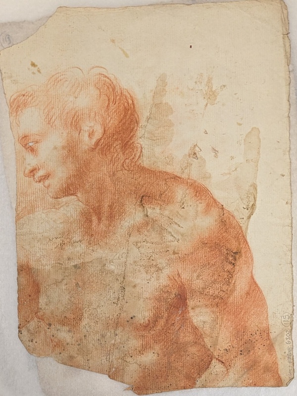 Figure Study of a Male Nude; BIKGM.6302