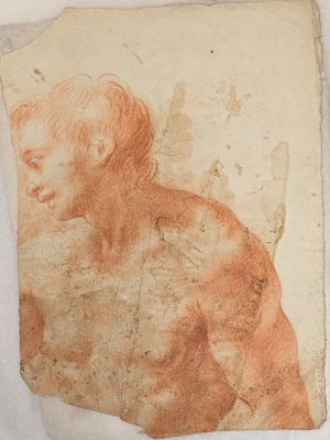 Figure Study of a Male Nude; BIKGM.6302