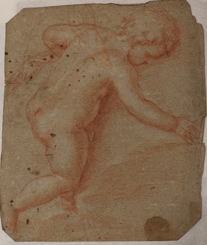 Drawing of a Winged Cherub; BIKGM.6359