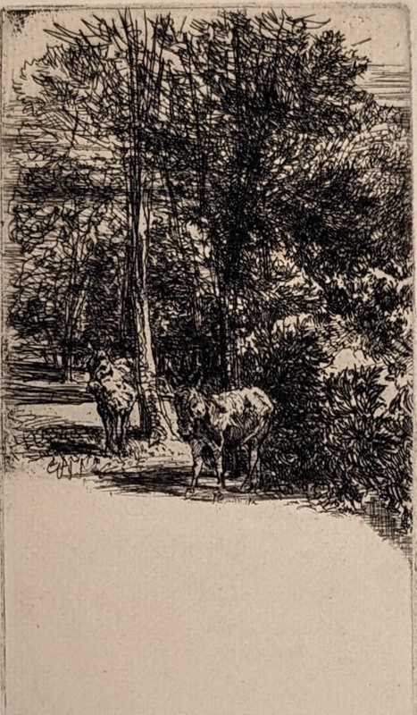 The Two Asses; Haden, Francis Seymour; BIKGM.24.7