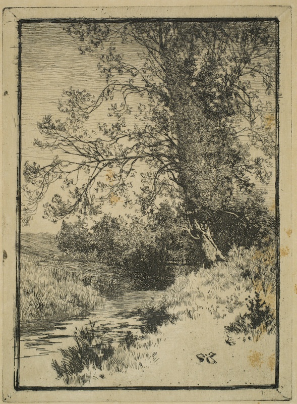 finnie 2378 river and trees