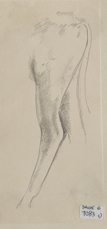 Rear of a Cow; Richards, Albert; 1935-1939; BIKGM.7083C