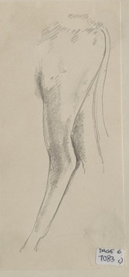 Rear of a Cow; Richards, Albert; 1935-1939; BIKGM.7083C