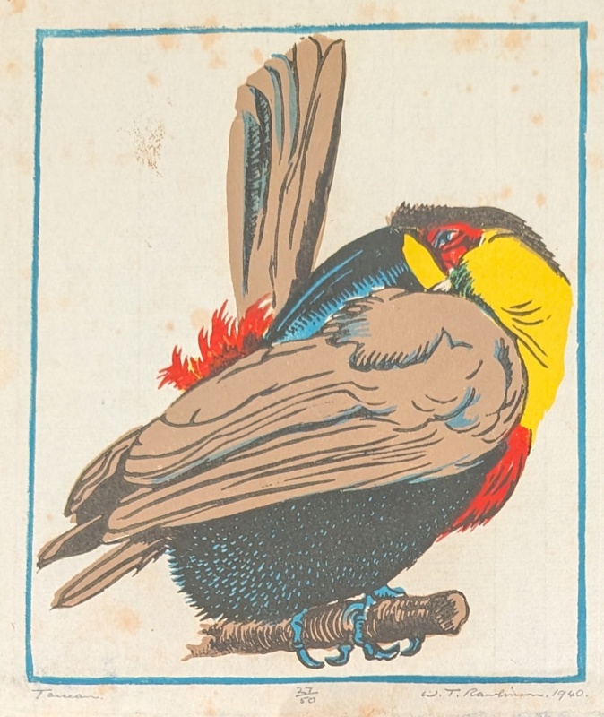 Toucan; Rawlinson, William Thomas (1912-1993); 1940; WR.81