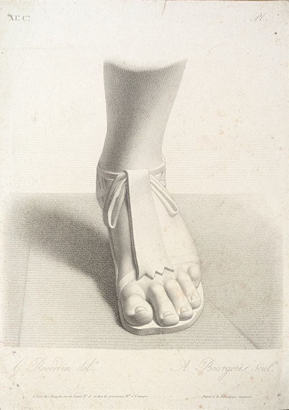Chap. 11. Study of a Foot; Reverdin, François-Gédéon (1772-1828); BIKGM.1815ay