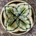 saucer; Della Robbia Pottery (active 1894-1906); BIKGM.6526 [2]