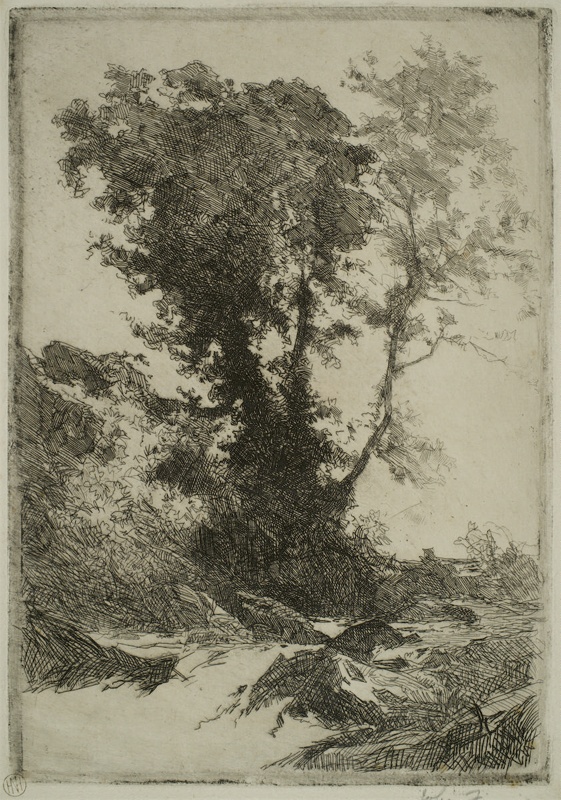 finnie 2380 stream with tree