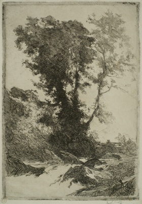 finnie 2380 stream with tree