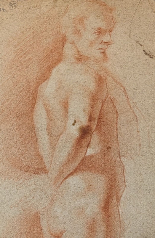 Figure Study of a Male Nude ; BIKGM.6254