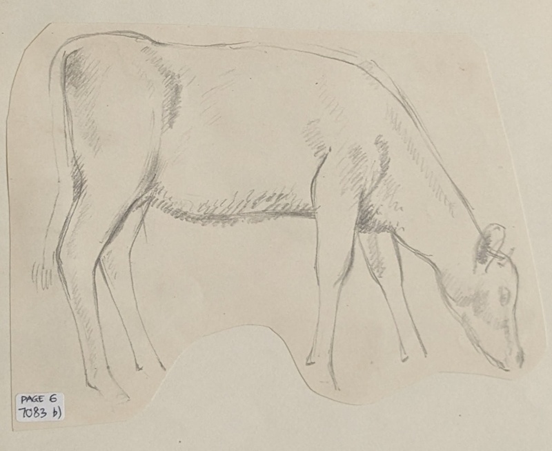 Sketch of a Cow Grazing; Richards, Albert; 1935-1939; BIKGM.7083B