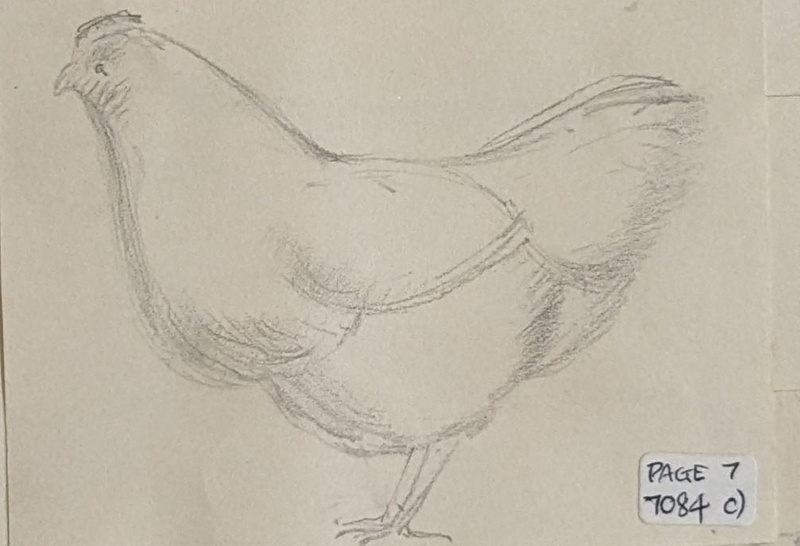 A Hen ; Richards, Albert; 1935-1939; BIKGM.7084C