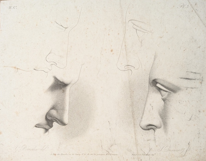 Chap. 2. Pl.3. Studies of Eyes and Noses; Reverdin, François-Gédéon (1772-1828); BIKGM.1815ae
