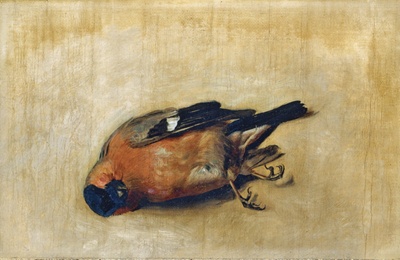 A Dead Bullfinch; Steer, Philip Wilson; 1876; BIKGM.8156