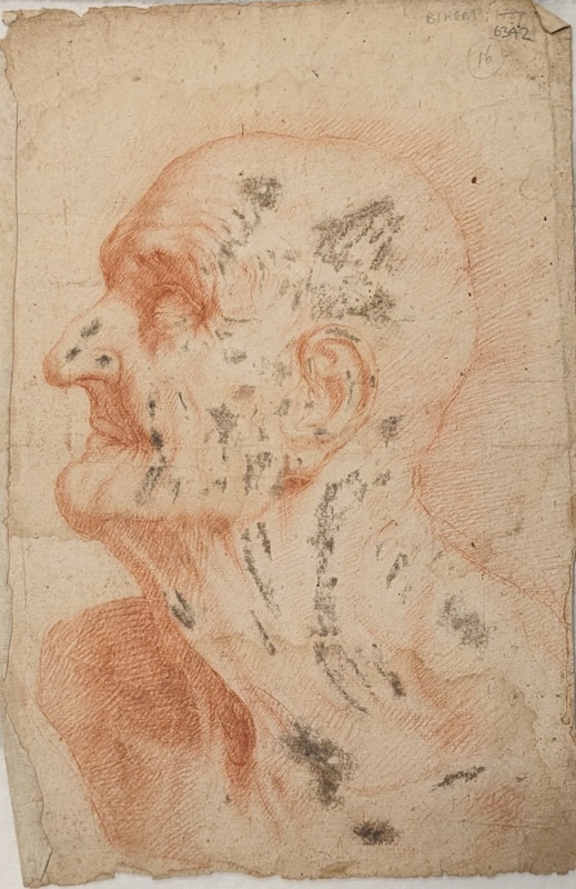 Head of Old Man; BIKGM.6342