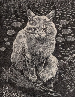 Felix; Rawlinson, William Thomas (1912-1993); 1984; WR.38