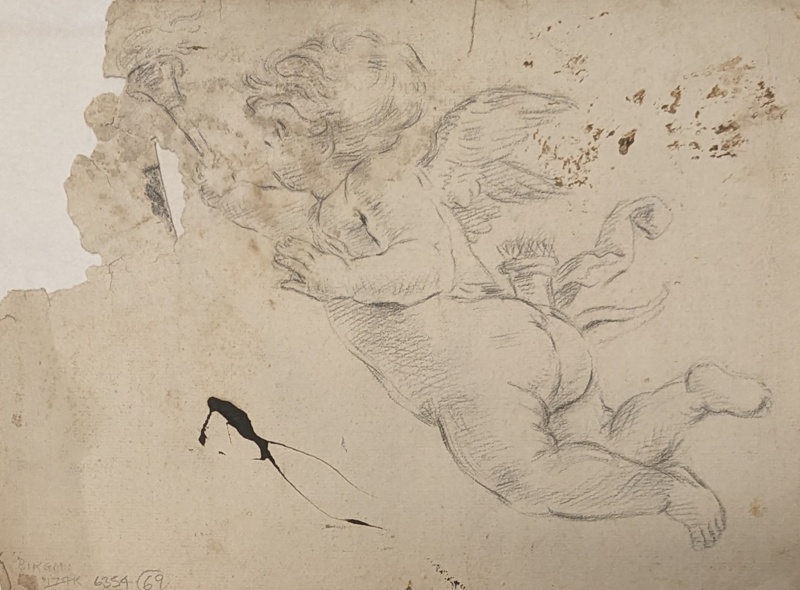 Study of a Cherub ; BIKGM.6354