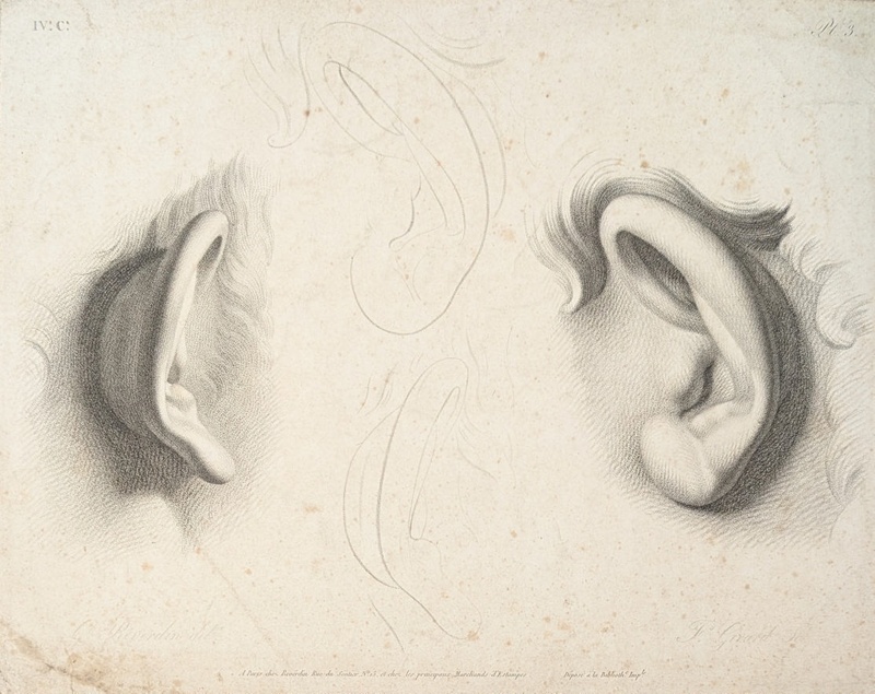 Chap.4. Pl.3. Studies of Ears; Reverdin, François-Gédéon (1772-1828); BIKGM.1815ak