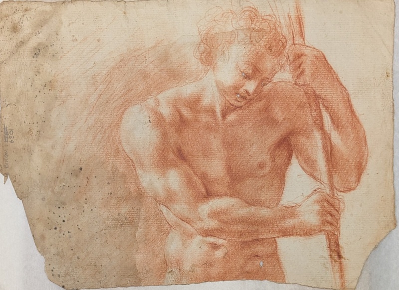Figure Study of a Male Nude ; BIKGM.6301