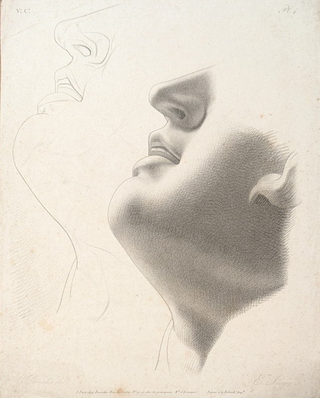 Chap.5. Pl.4. Study of Lower Area of a Face; Reverdin, François-Gédéon (1772-1828); BIKGM.1815ap