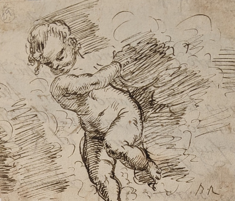 Study of a Cherub; BIKGM.6317