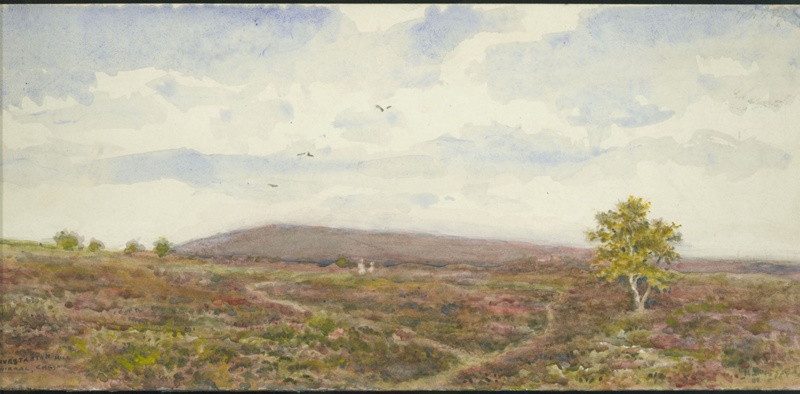 Thurstaston Hill 1903; Hopps, Harold; BIKGM.W349
