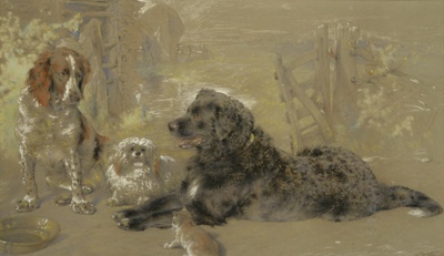 Dogs Around a Drinking Bowl; Huggins, William; 1868; BIKGM.692