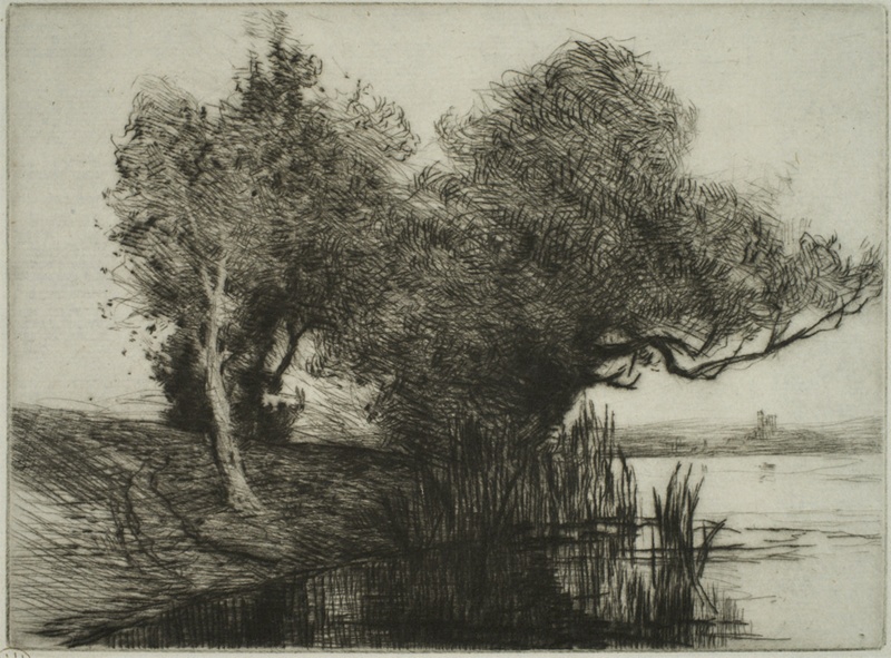 finnie 2373 tree overhanging river
