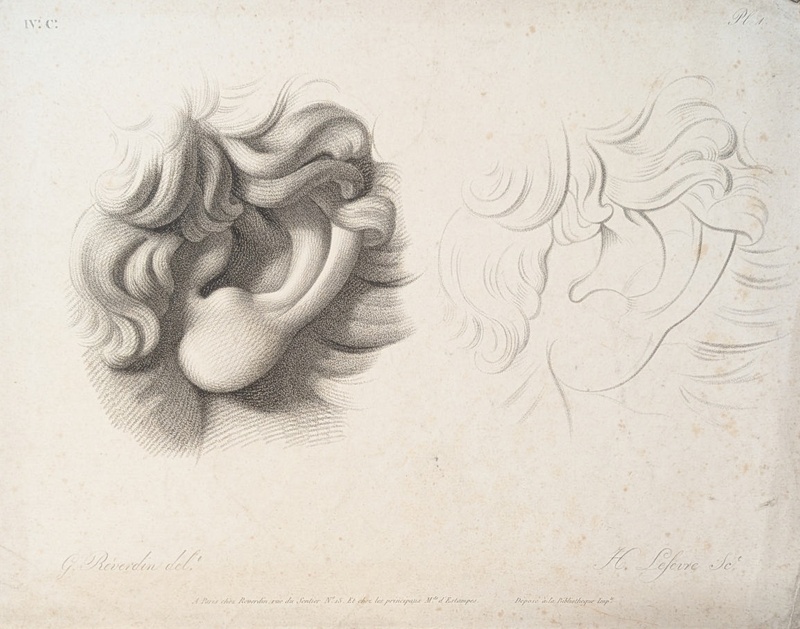 Chap. 4. Pl.1. Studies of an Ear; Reverdin, François-Gédéon (1772-1828); BIKGM.1815ah