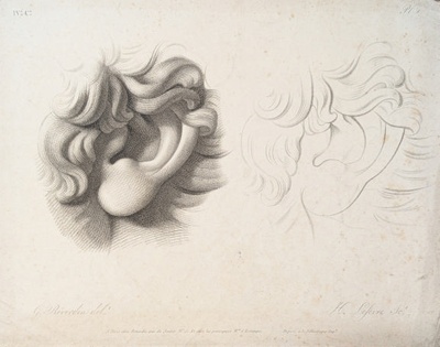 Chap. 4. Pl.1. Studies of an Ear; Reverdin, François-Gédéon (1772-1828); BIKGM.1815ah