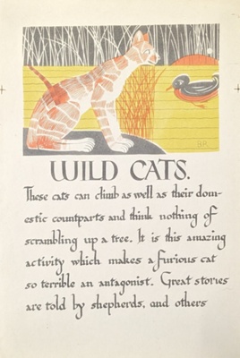 Wild Cats; Richards, Albert (1919-1945); 1935-1939; BIKGM.7122