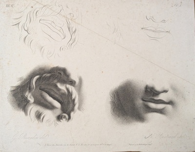 Chap. 3. Pl.1. Studies of a Mouth; Reverdin, François-Gédéon (1772-1828); BIKGM.1815ag