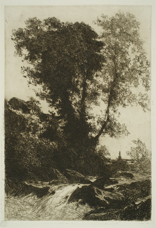 finnie 2355 stream and tree