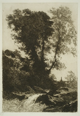 finnie 2355 stream and tree