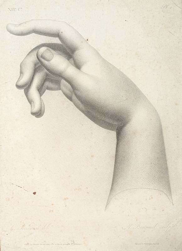 Chap. 12. Pl./. Study of a Hand; Reverdin, François-Gédéon (1772-1828); BIKGM.1815az