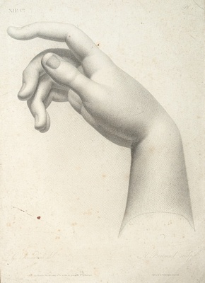 Chap. 12. Pl./. Study of a Hand; Reverdin, François-Gédéon (1772-1828); BIKGM.1815az