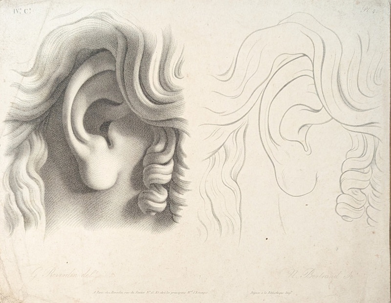 Chap.4. Pl.4. Studies of Ears; Reverdin, François-Gédéon (1772-1828); BIKGM.1815al