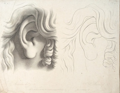 Chap.4. Pl.4. Studies of Ears; Reverdin, François-Gédéon (1772-1828); BIKGM.1815al