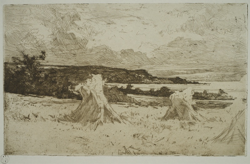 finnie 2360 cornfield