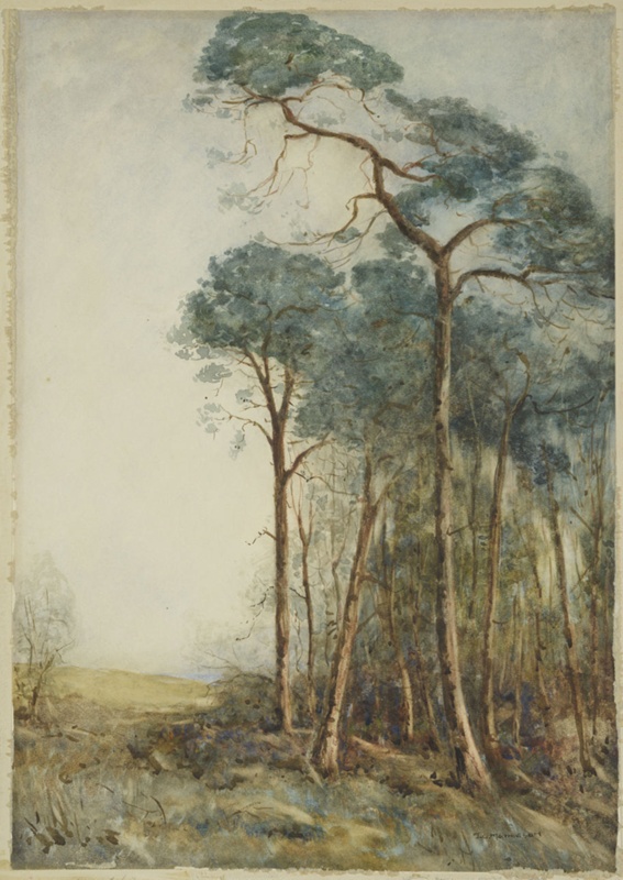 Woodland Scene with Pine Trees; Mathieson, John George; BIKGM.172f