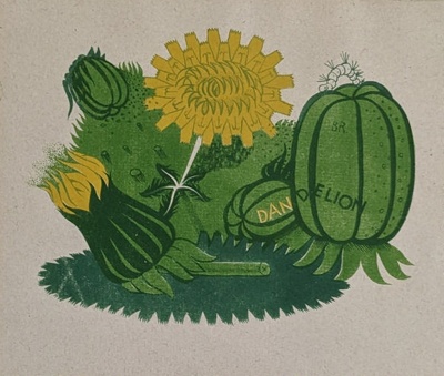 Dandelion; Richards, Albert (1919-1945); c. 1938; BIKGM.7131